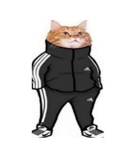 chat adidas